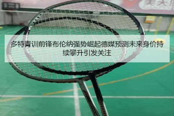 多特青训前锋布伦纳强势崛起德媒预测未来身价持续攀升引发关注